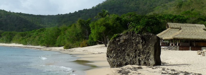 Palm thatch secret beach